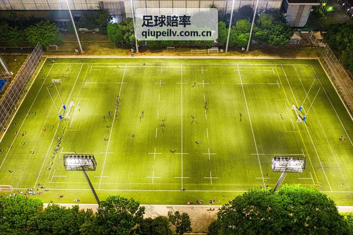 足球赔率品牌数据展示